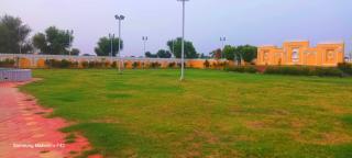 Shri Hari Singh Palace Degana - - 4