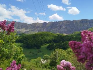 Čemerno Cottage - Gacko - 8