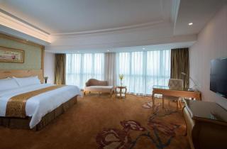 Vienna Hotel Guangzhou Tianhe South China Botanical Garden Metro Station - Canton - 9