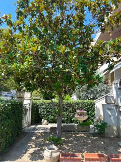 Villino con giardino privato - San Benedetto del Tronto - 9