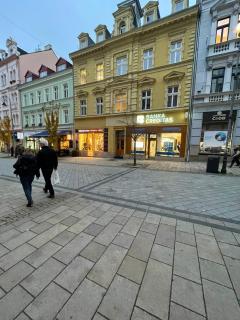 Apartmán Ambassador - Karlovy Vary - 0
