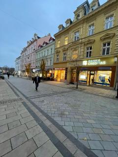 Apartmán Ambassador - Karlovy Vary - 7