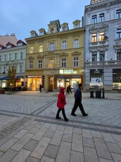 Apartmán Ambassador - Karlovy Vary - 5