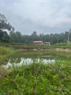 Doddagadde Stays - Near to Ettina Bhuja trekking - Mudigere - 6