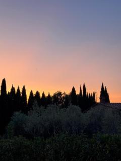 Le Porrine - Castelnuovo di Val di Cecina - 7