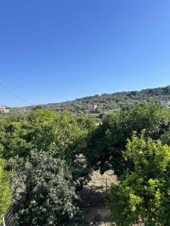 Traditional Grandma's house - Chio (Chios) - 6