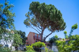 Apartment Postup - Orebić (Sabbioncello) - 6