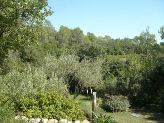 Un Cabanon en Provence - Cabasse - 8