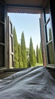 Le Porrine - Sasso Pisano - 8