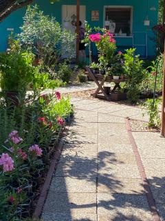 Arvisura Vendégházak family and pet friendly apartments - Zsombó - 7