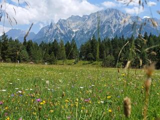 Ferienhaus Adelia - Mittenwald - 8