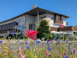 Hotel Römerhof - Tulln an der Donau - 9