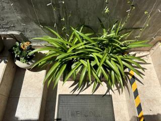 High end boutique studio plus patio - Tel Aviv - 1