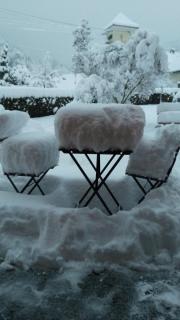 Le jardin - Griesbach-au-Val - 2