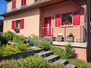 Le jardin - Griesbach-au-Val - 9
