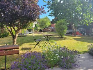 Le jardin - Griesbach-au-Val - 3