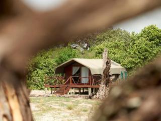 Camp Savuti - Savuti - 1