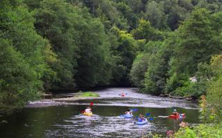 Eco Lodge 4 persons Mobiwood - La-Roche-en-Ardenne - 1