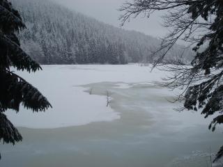 Domaine Des Hauts Viaux - 3