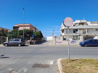 la chicas - 4