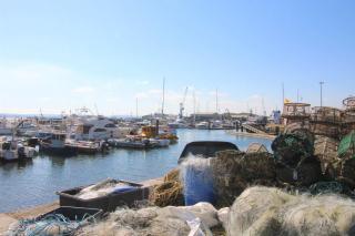 Sea Cloud - 2-bedroom House with Courtyard Garden - Poole - 2