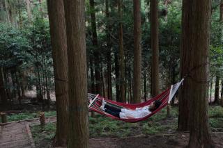 うだ薬湯の宿やたきや - 2