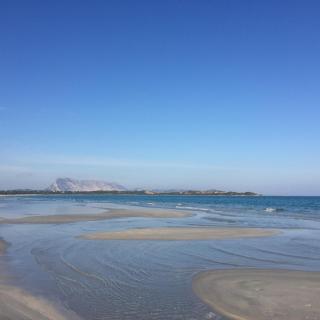 Al FARO HOTEL , SPIAGGIA LA CINTA ,SAN TEODORO - San Teodoro - 4