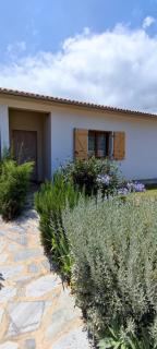 Agapanthe location - San-Nicolao - 2