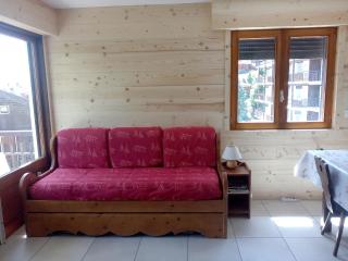 Appartement cosy au Chinaillon, proche commerces et pistes, 4 pers, animaux admis. - FR-1-467-69 - Le Grand-Bornand - 0