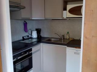 Appartement cosy au Chinaillon, proche commerces et pistes, 4 pers, animaux admis. - FR-1-467-69 - Le Grand-Bornand - 1