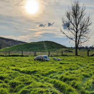 Sycamore Shepherd's Hut - 7