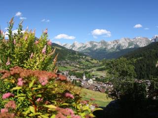 Studio montagnard avec balcon, vue montagnes et accès bien-être - FR-1-467-38 - Le Grand-Bornand - 0