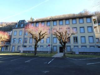 F2 bis au Mont-Dore, 200m du centre et Thermes, parking privé, animaux acceptés, 6 couchages - FR-1-415-69 - Le Mont-Dore - 2