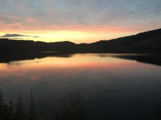 F2 bis au Mont-Dore, 200m du centre et Thermes, parking privé, animaux acceptés, 6 couchages - FR-1-415-69 - Le Mont-Dore - 1