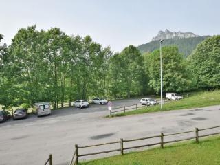 Charmant T2 de 23m² à Bernex, proche pistes et randonnées, avec balcon et tout équipé - FR-1-498-34 - Bernex - 1