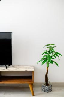YamaLuxe Cozy Apartment 220 - Bucharest - 7