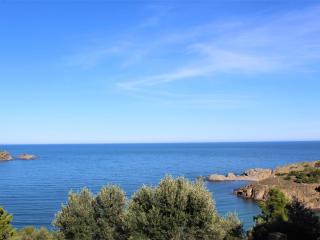 CASA FENOLLEDA - Casa con vistas panorámicas del mar y Cap de Creus en Llançà - ES-228-17 - Llança - 9