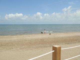 Vacaciones ideales: apto con piscina, cerca del mar, wifi, aire opcional, admite mascotas, playa perros - ES-184-11 - Riumar - 2