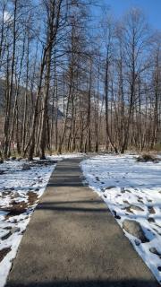 muay monk hostel - 6