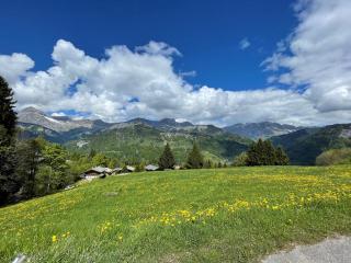 Appartement cosy 6 pers, 50m², proche pistes, 2 SDB, cuisine équipée, calme, non-fumeurs - FR-1-733-120 - Crest-Voland - 6
