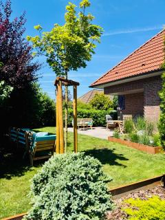 Haus Rose - Ribnitz-Damgarten - 0