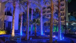 3 bhk in kharar - Kharar - 3