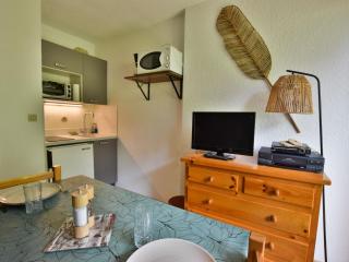 Studio cosy à Bernex avec terrasse et parking - FR-1-498-92 - Bernex - 3