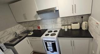 Plas Bellin Studios - Mold - 2