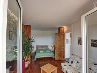 Appartement T2 avec terrasse, parking et wifi à St-Genest-Lerpt - FR-1-496-287 - Saint-Genest-Lerpt - 5