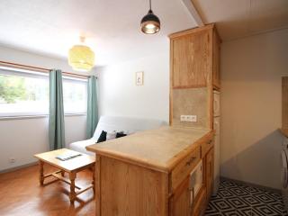 Charmant F2 bis au Mont-Dore avec balcon, au pied des pistes, 6 pers, parking, ascenseur - FR-1-415-150 - Le Mont-Dore - 2