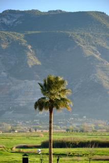 Finca Bellas Vistas - Padul - 8