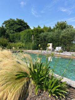 Il Glicine - Natural BnB - 3