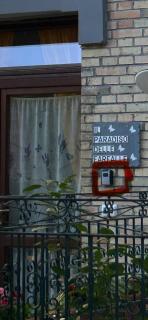 IL PARADISO delle farfalle - 0