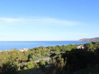 Maison familiale avec jardin et vue sur mer à Llançà - 4